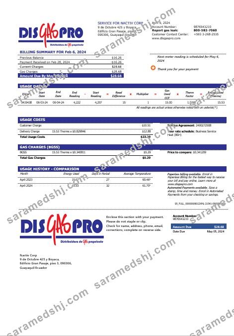 Ecuador Disgaspro gas business utility bill template in Word and pdf formats